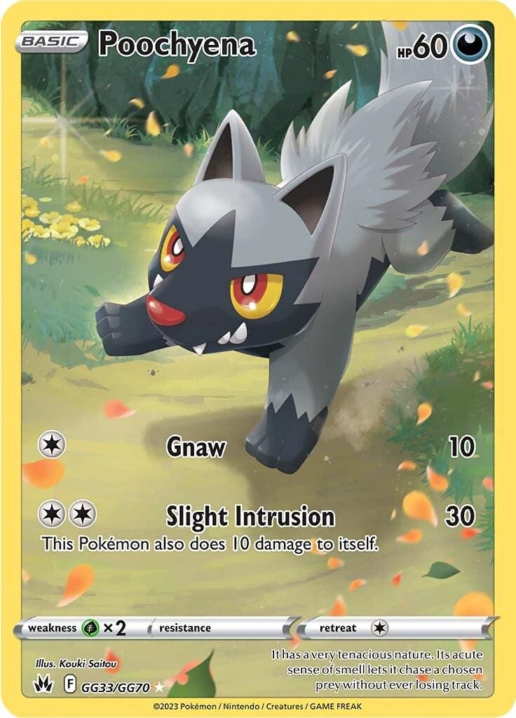 Poochyena (GG33/GG70) - Crown Zenith: Galarian Gallery